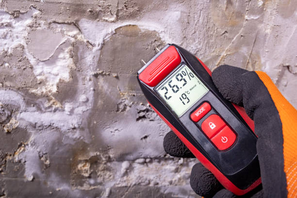 Attic Mold Removal in Preston Heights, IL