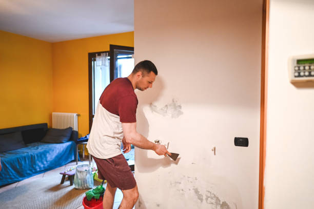 Best Local Mold Removal Service  in Preston Heights, IL